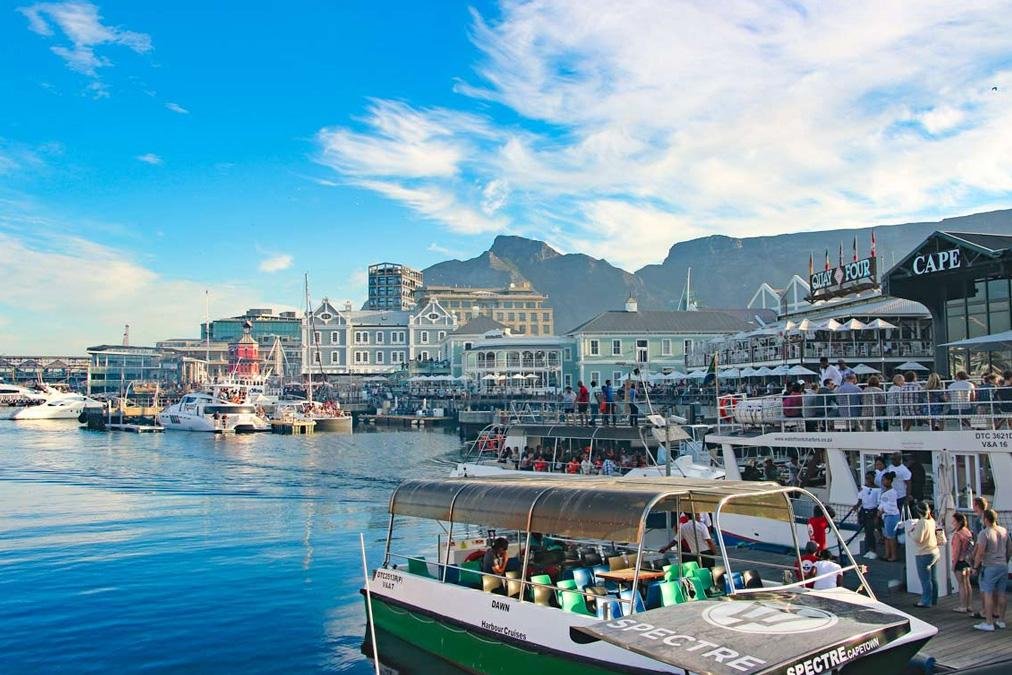 Why a South Africa Safari Should Be on Your Travel Bucket List